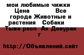 мои любимые чижки › Цена ­ 15 000 - Все города Животные и растения » Собаки   . Тыва респ.,Ак-Довурак г.